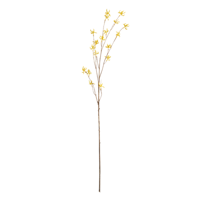 Yellow Wildflower Stem, 40"