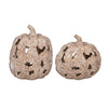 Maple Leaf Mushroom Pumpkin, Set 2