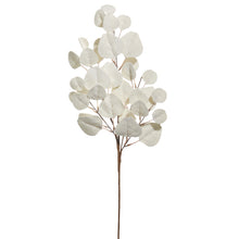  White Eucalyptus Spray, 30" High