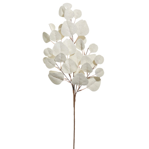 White Eucalyptus Spray, 30" High