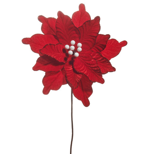 Red Velvet Poinsettia Stem, 22" Tall