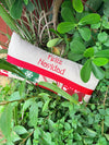 Feliz Navidad Red & Green Lumbar Pillow, Size 12" x 26"