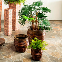  Reed Nested Round Planters, Set of 3