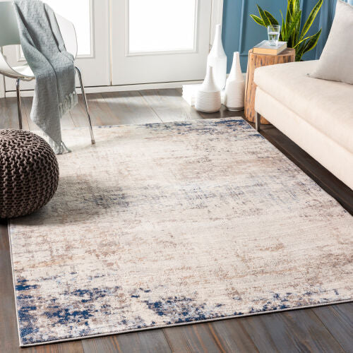 Neutrals & Blue Area Rug